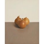 Comhghall Casey (b.1976) Onions (2006) oil on canvas signed lower right and dated 2006 44½ x 34.80cm