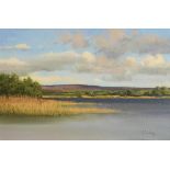 Peter Curling (b.1955) The View from the Bathing Pool, Inis Dara, Lough Derg oil on canvas signed