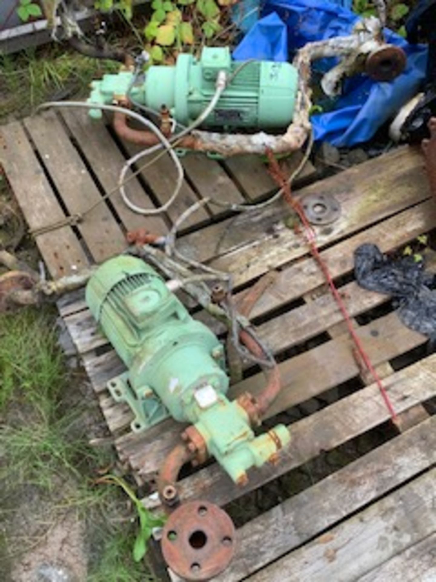 FUEL TRANSFER PUMPS x 2