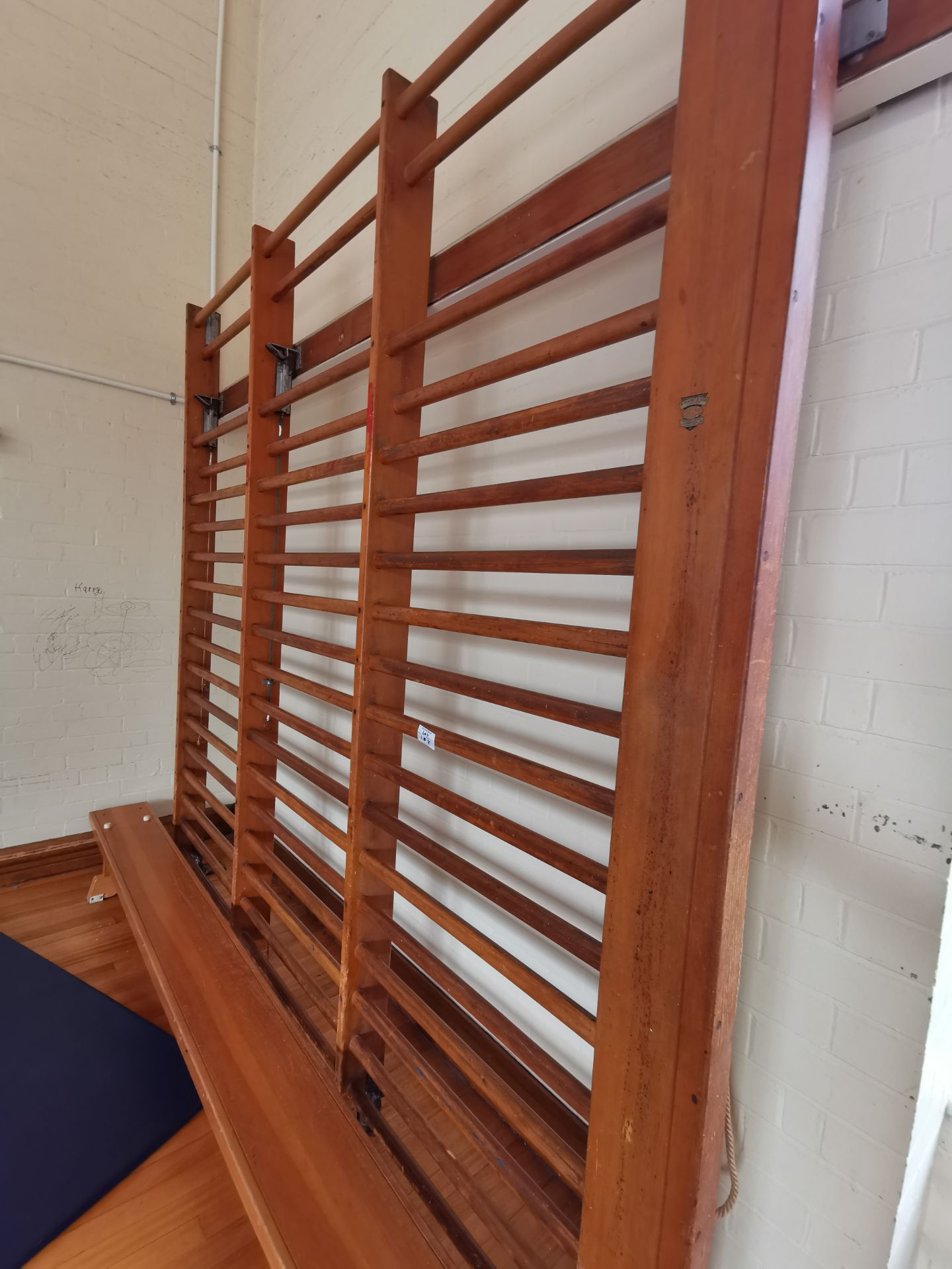 Vintage gym ladders