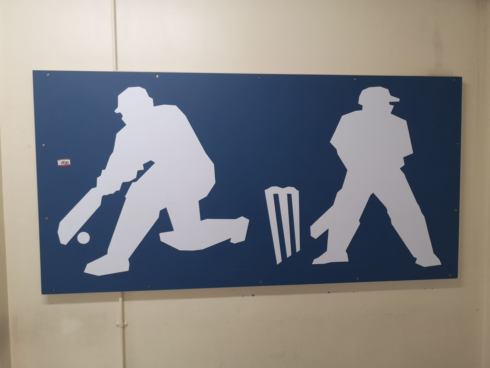 8ft x 4ft Cricket display