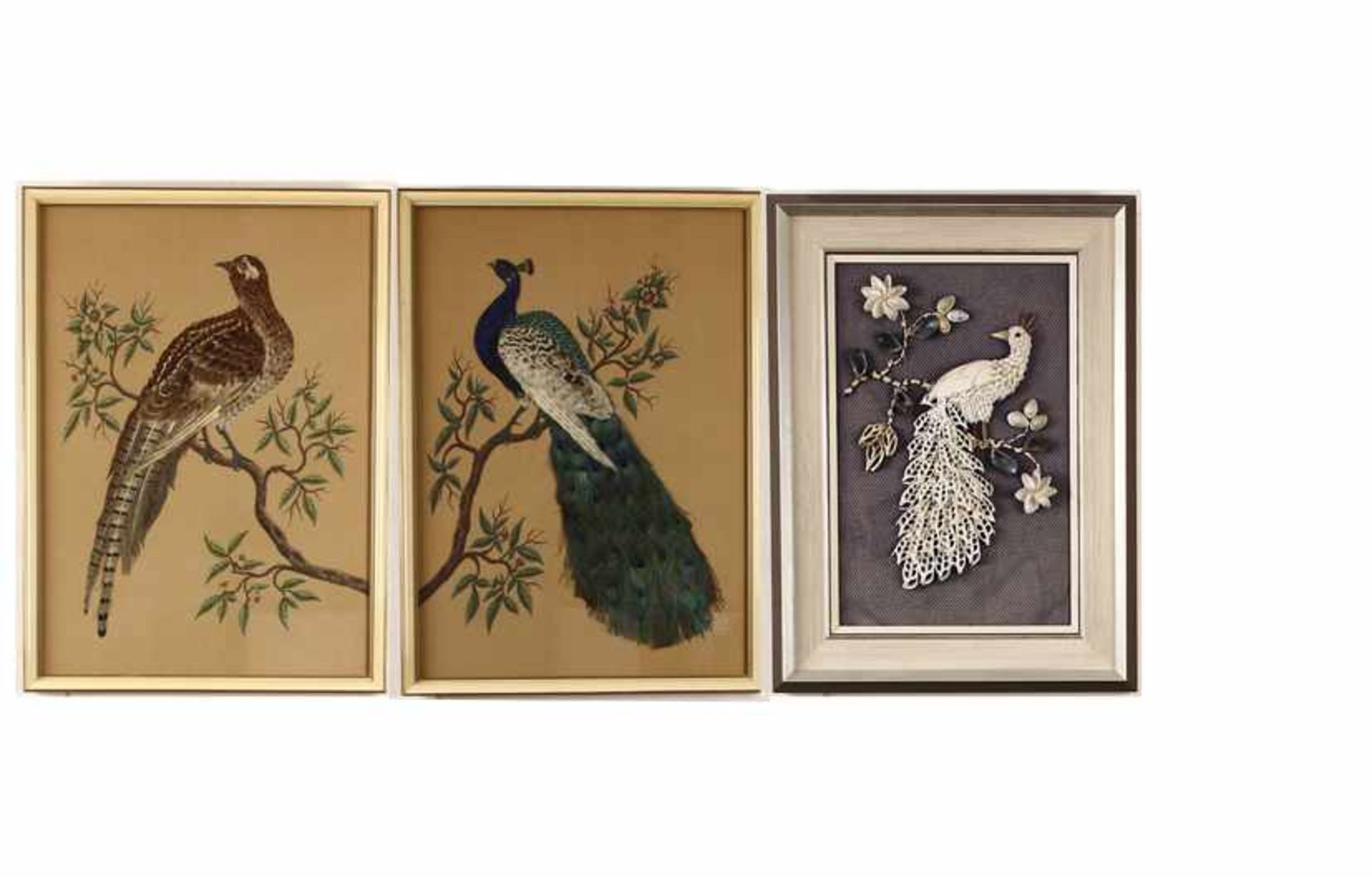 Paar met veren opgehoogde aquarellen: pauw en fazant -54 x 38 cm-, daarbij: schelpencompositie van