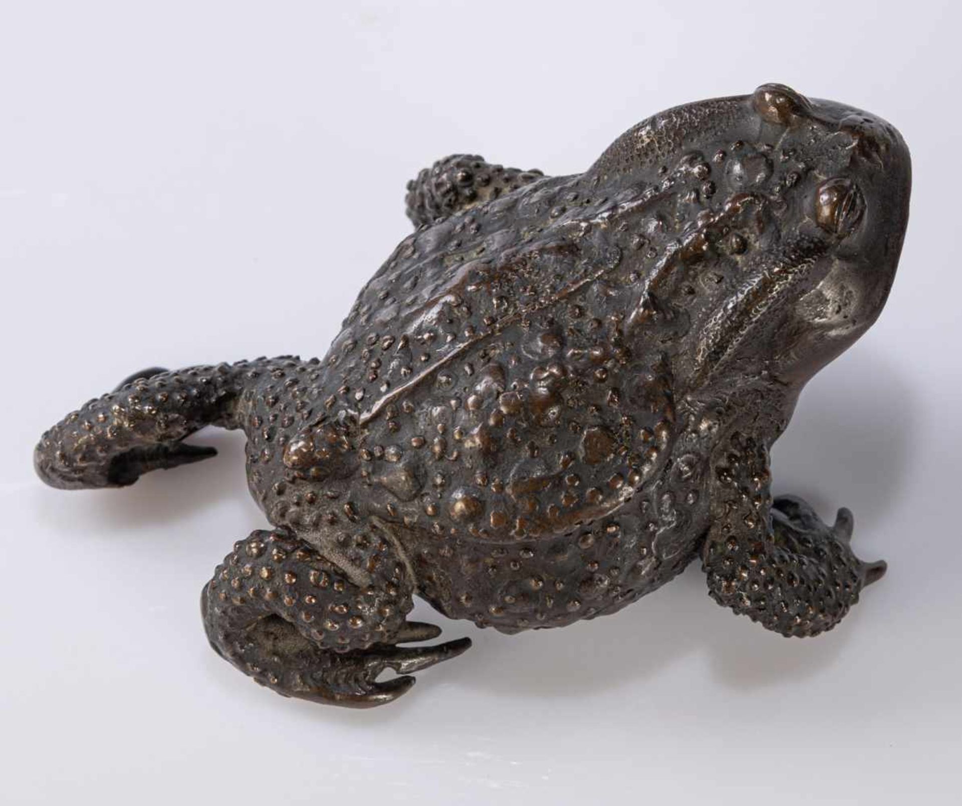 Okimono einer Kröte aus Bronze - Bild 8 aus 11