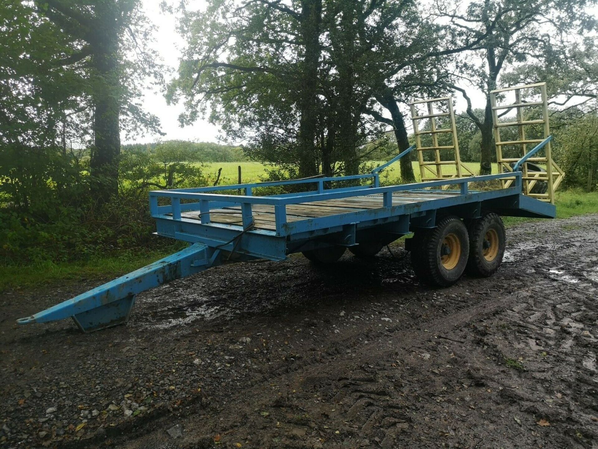 Low Loader Plant Trailer