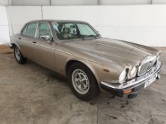 1987 Daimler Double Six Auto