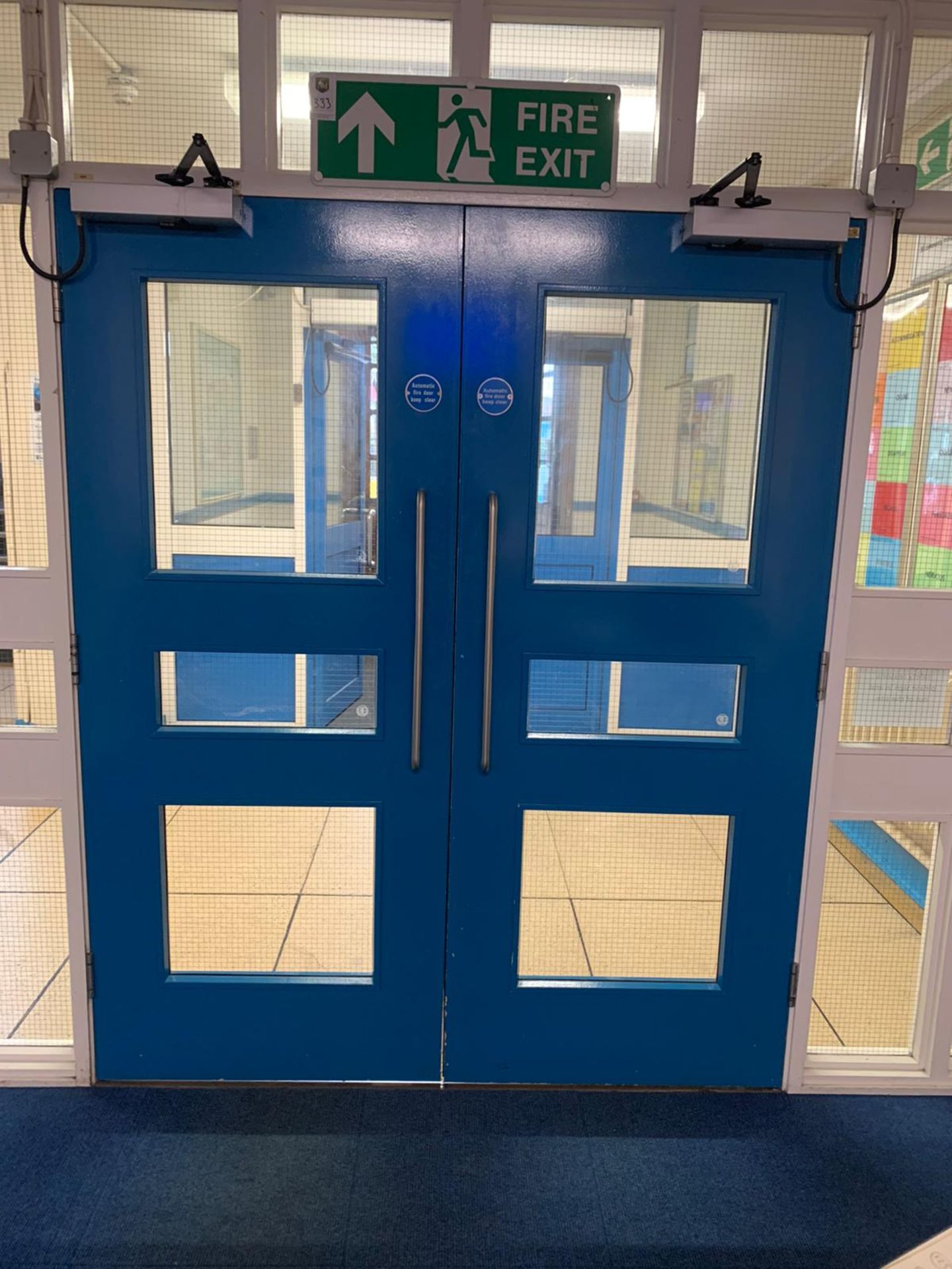 Double Fire Doors with Windows - Image 2 of 3