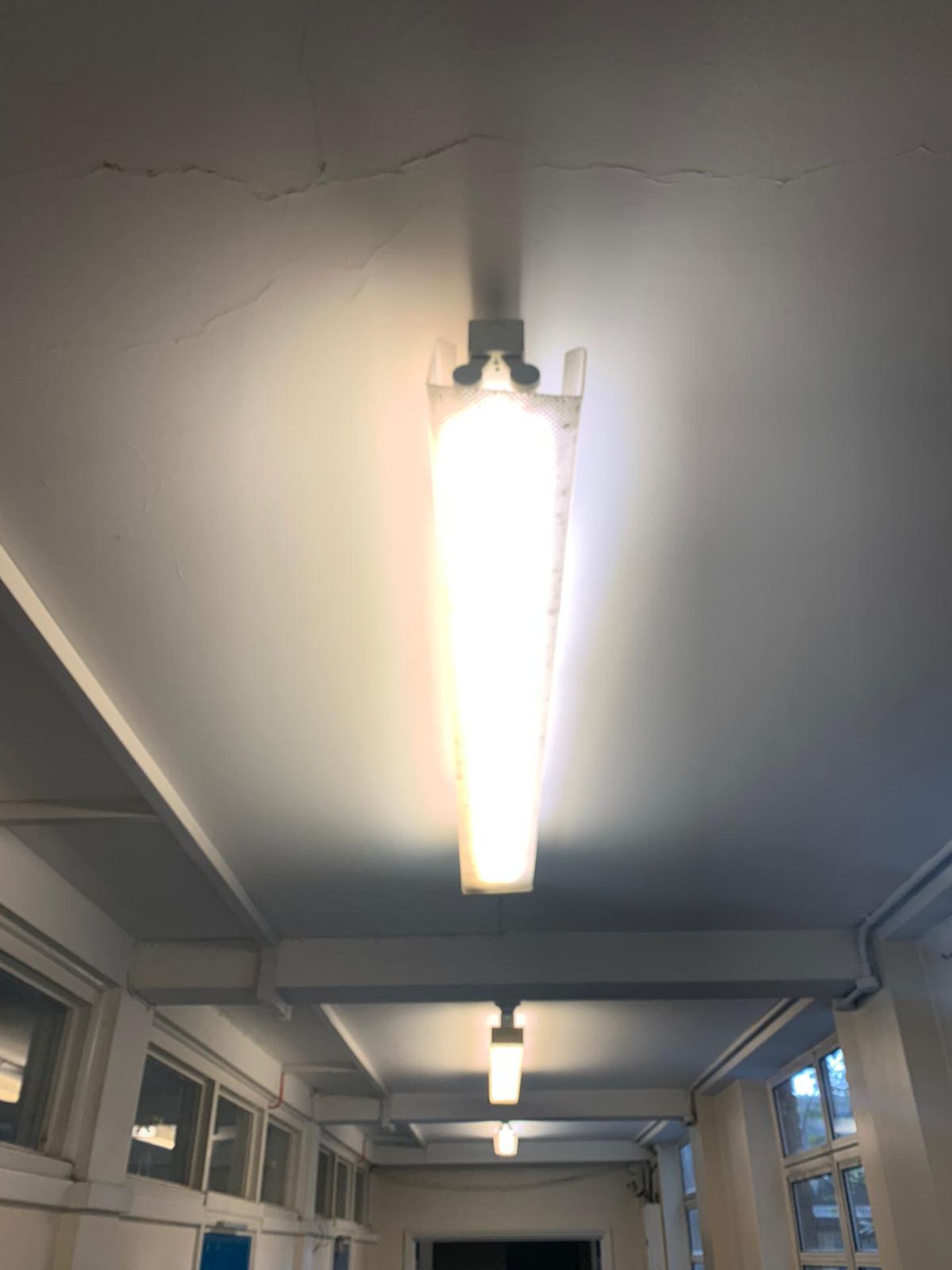 x3 Ceiling Lights