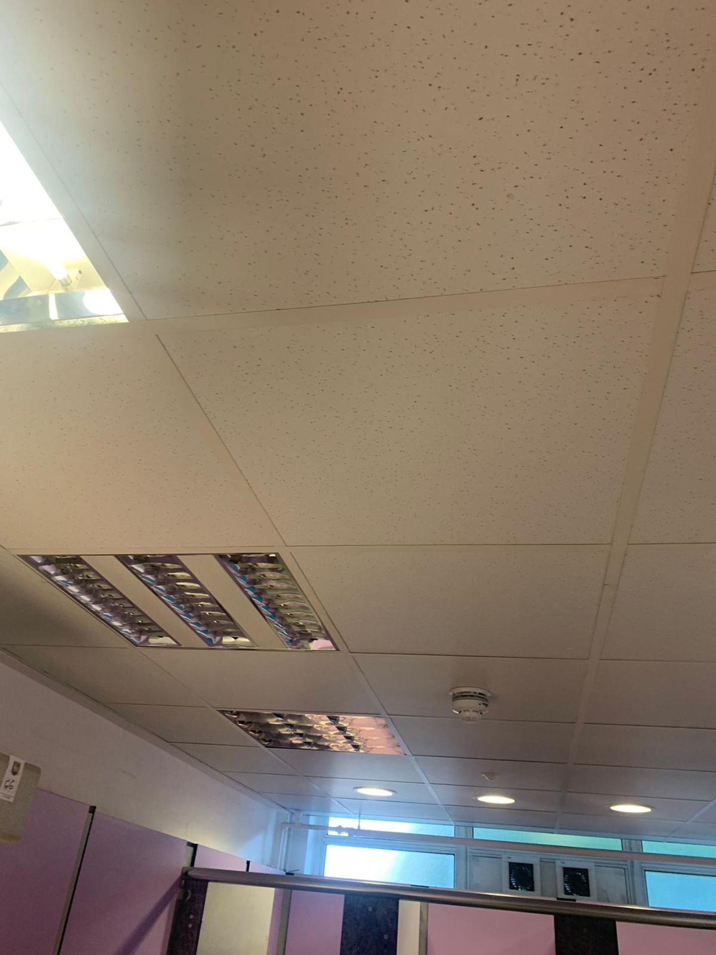 Ceiling Tiles & Ceiling Lights