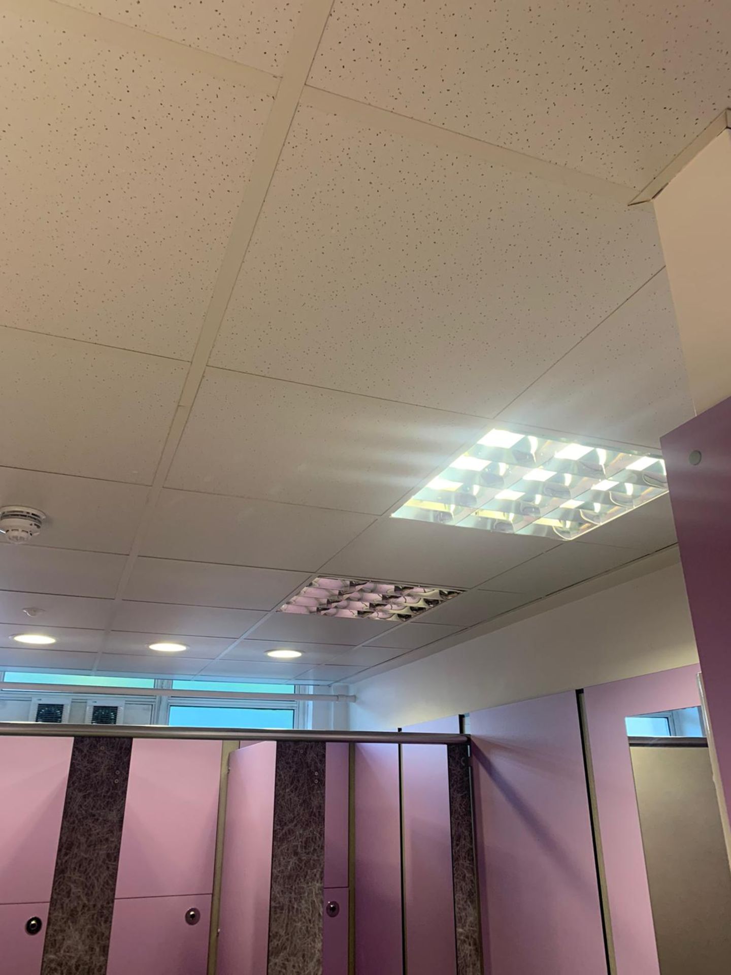 Ceiling Tiles & Ceiling Lights - Image 2 of 3