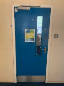 Single Fire Door