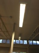 8 x ceiling lights