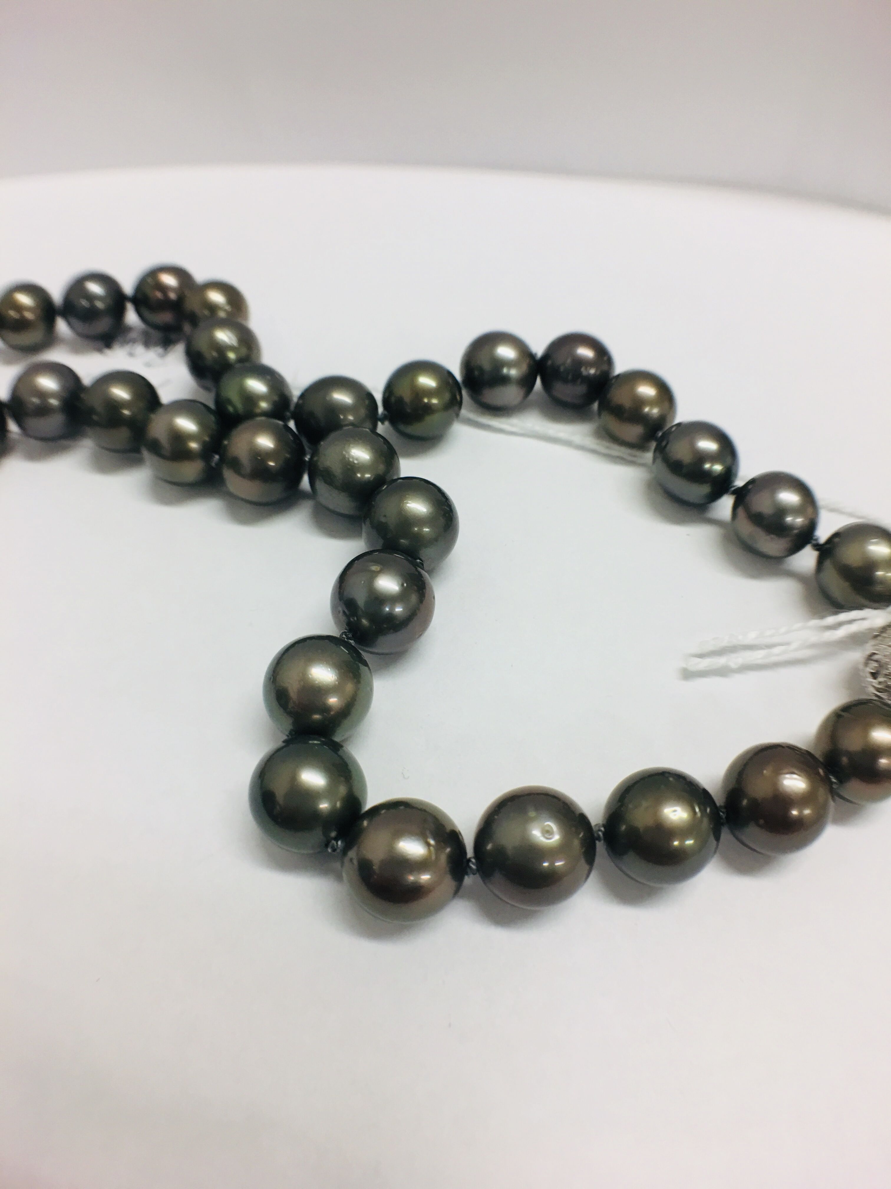 tahitian pearl necklace. - Image 8 of 9