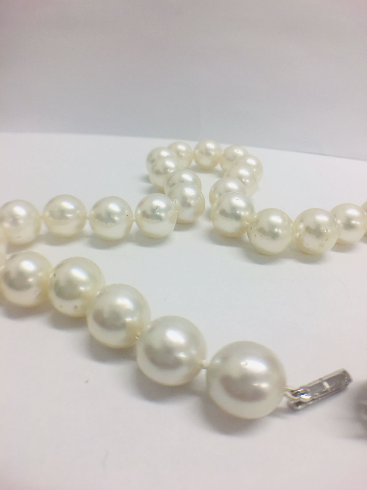 strand 35 south sea pearls with 14ct white gold filagree style ball - Image 3 of 9