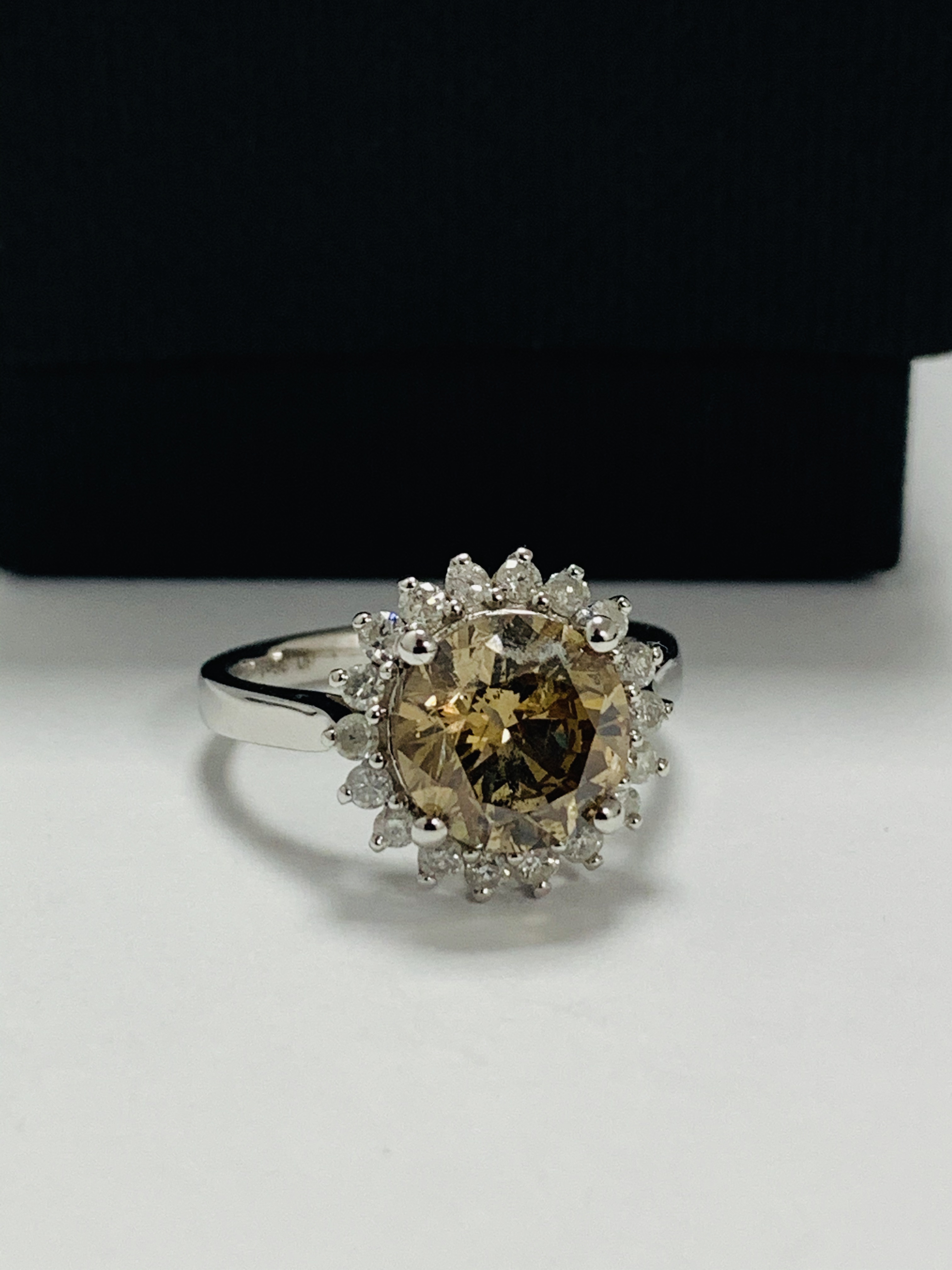 14ct White Gold Diamond ring featuring centre, round brilliant cut, cognac Diamond (2.61ct), claw se - Image 7 of 11