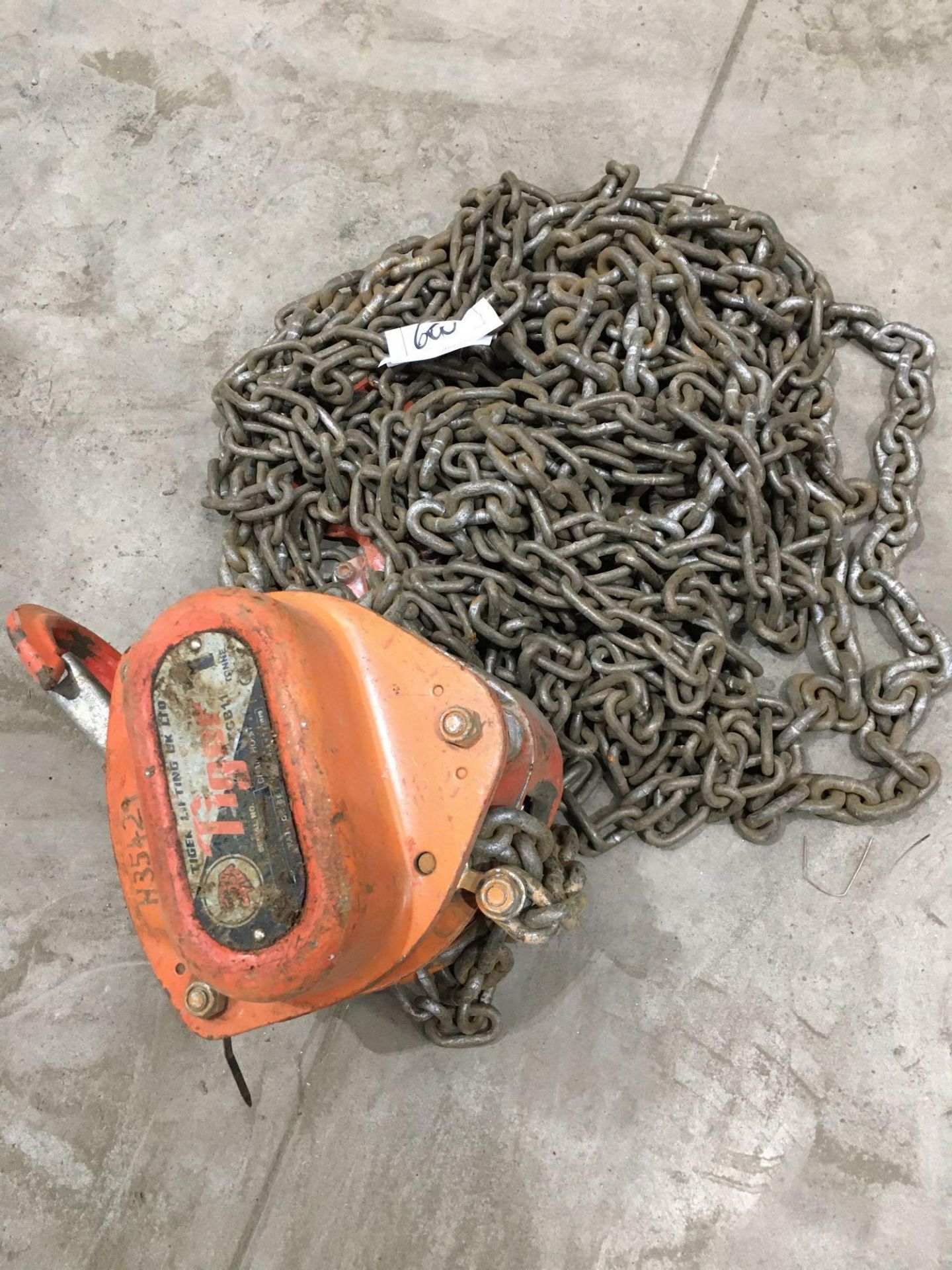 Tiger single point chain hoist