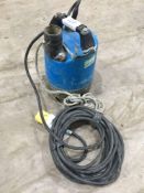 Submersible pump 110V