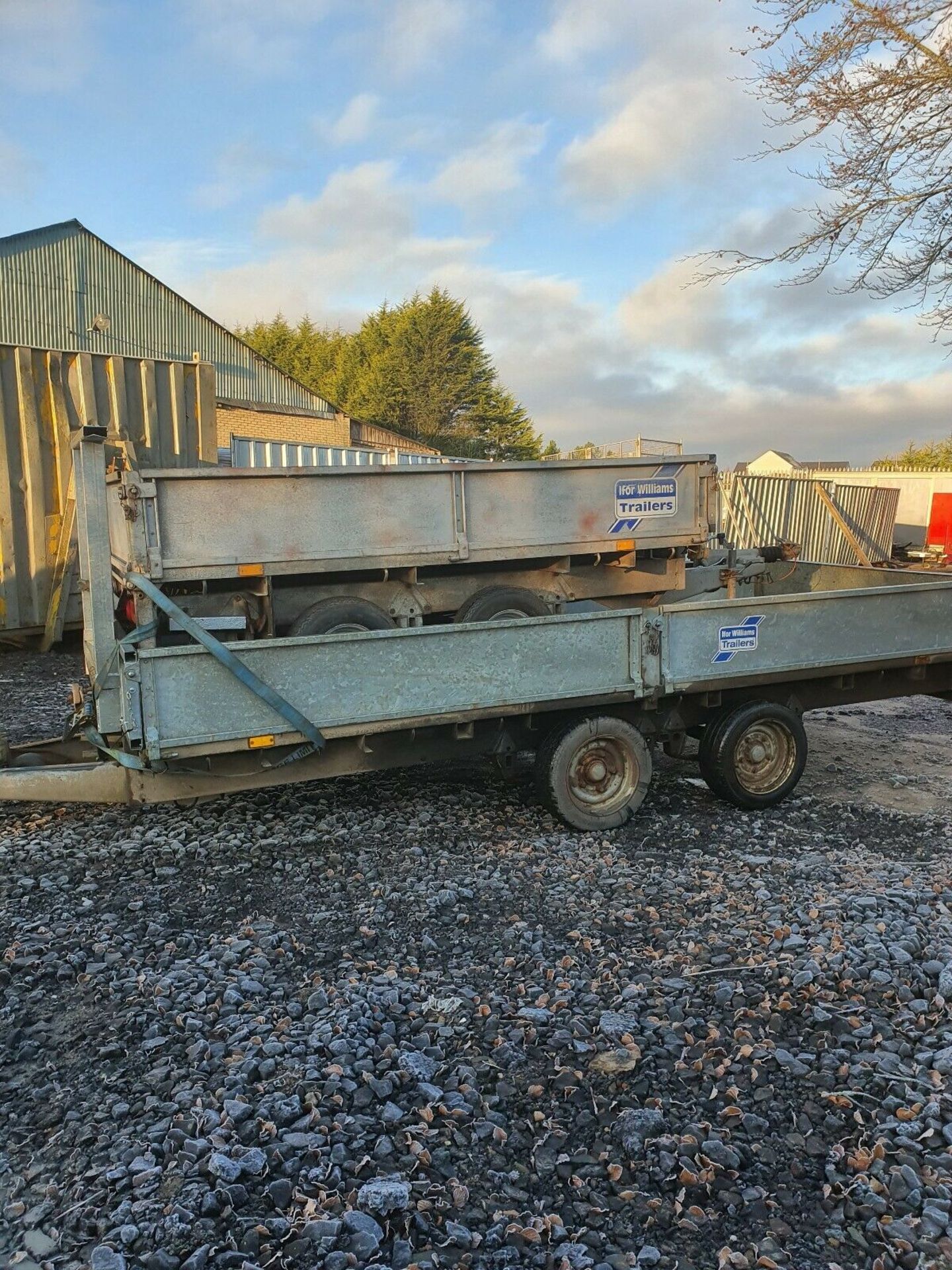 Ifor Williams Live stock Trailer NO VAT - Image 4 of 4