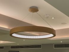 Large wooden circular LED light