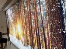 LED Illuminated picture with 4 x interchangeable panels 4120 x 2150mm