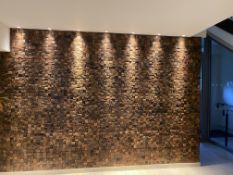 Wood feature effect tiled wall