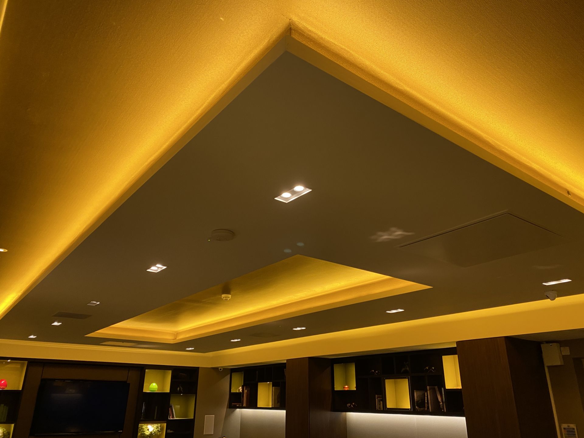 Feature Ceiling Lighting Inlay