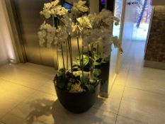 Extra Large Artificial Orchid in Vase