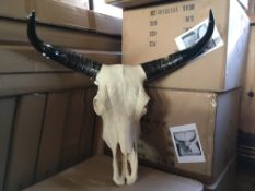 BOXED NEW LARGE SKULL WITH HORNS