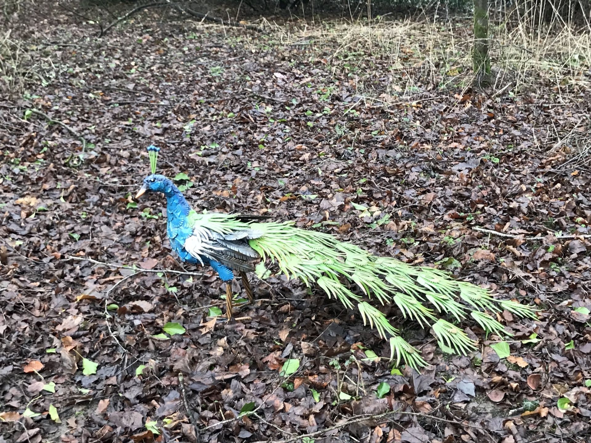 NEW METAL TALL PAINTED PEACOCK