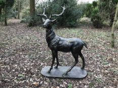 CAST IRON STAG STANDING