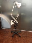 Twin Arm Articulated Desk Lamp