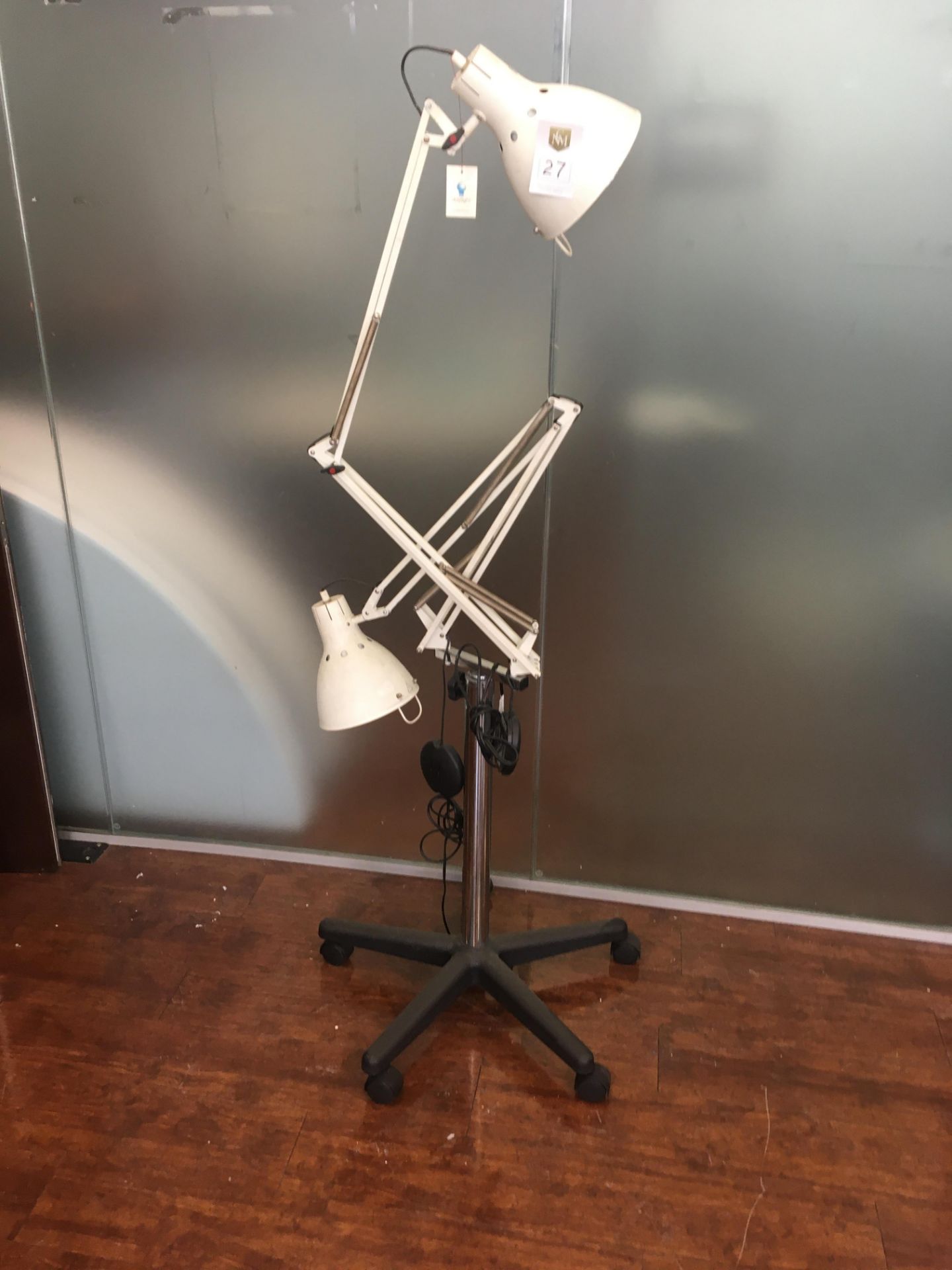 Twin Arm Articulated Desk Lamp