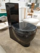 Black toilet with cistern