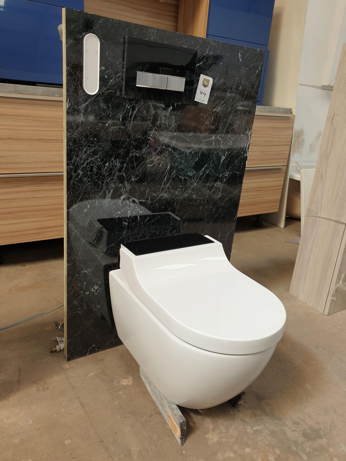 Geberit Aqua Clean Toilet with hidden cistern and back plate