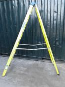 8 tread fibreglass step ladders