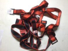 Harness tool belt