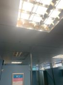 Ceiling Tiles & Ceiling Lights