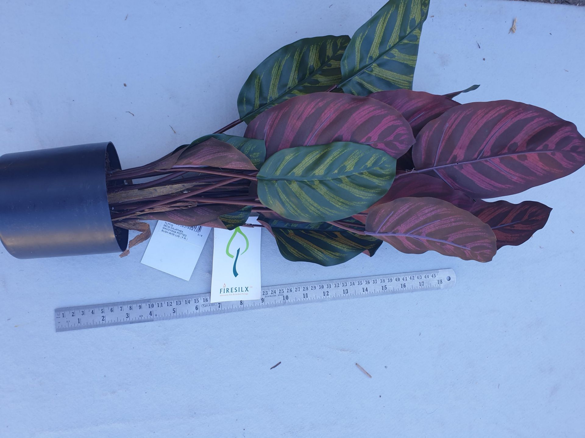 1 Potted Artificial FR Calathea New and never used - Image 2 of 2