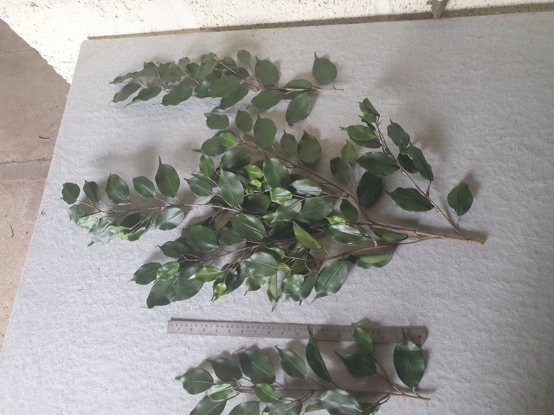 100 pieces Artificial Ficus benjamina foliage