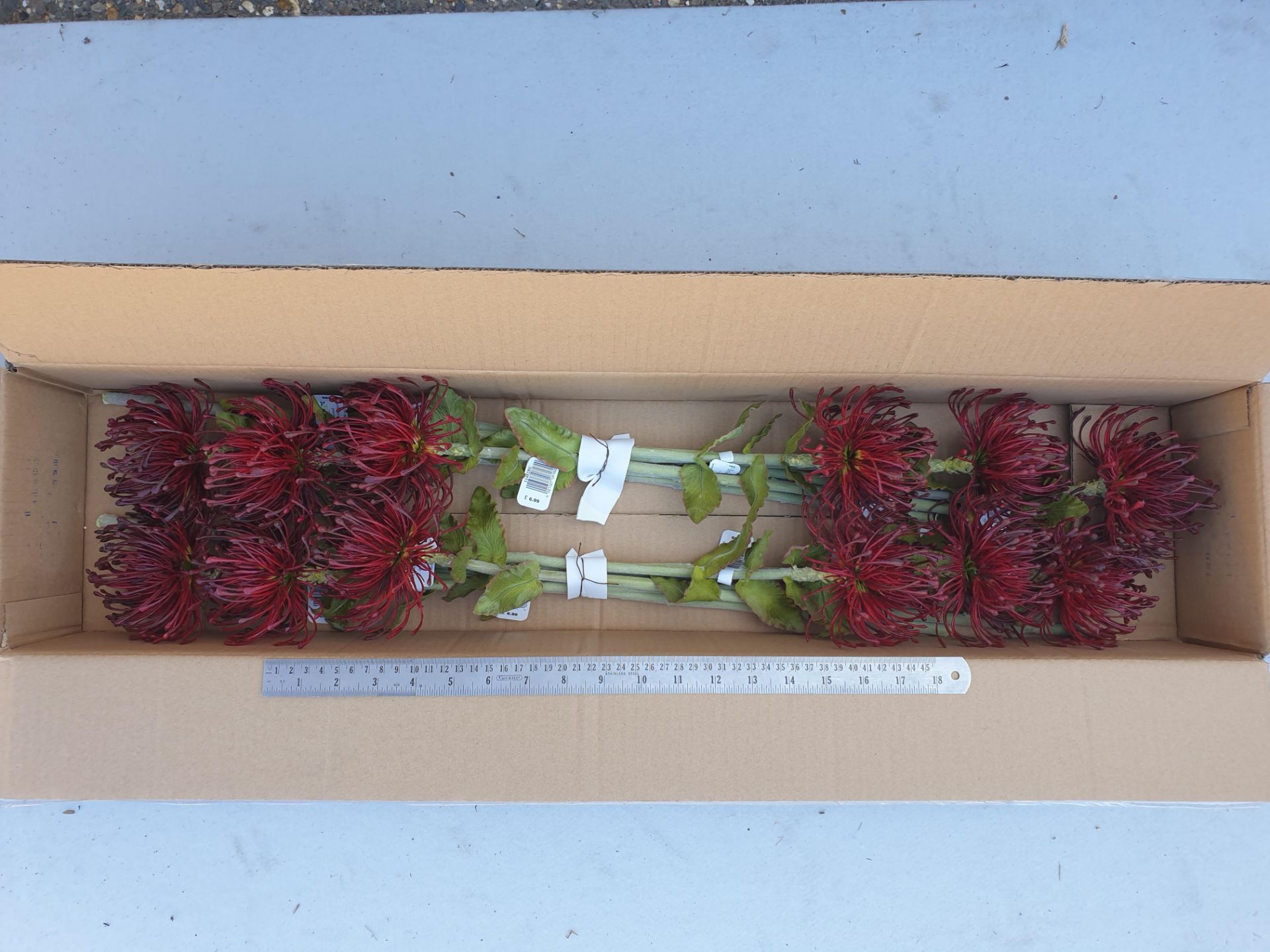 12 Artificial Protea Spray - Burgandy - Still boxed