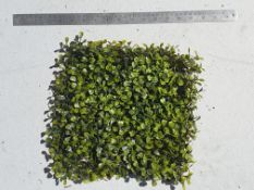 55 Artificial Boxwood mat - 25cm x 25cm