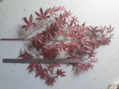 36 Pieces Artificial Japanese Maple - Red