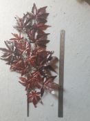 131 Pieces Artificial Japanese Maple Foliage - Burgandy - Unused