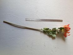 14 Artificial Orange Chrysanthemums - Never used