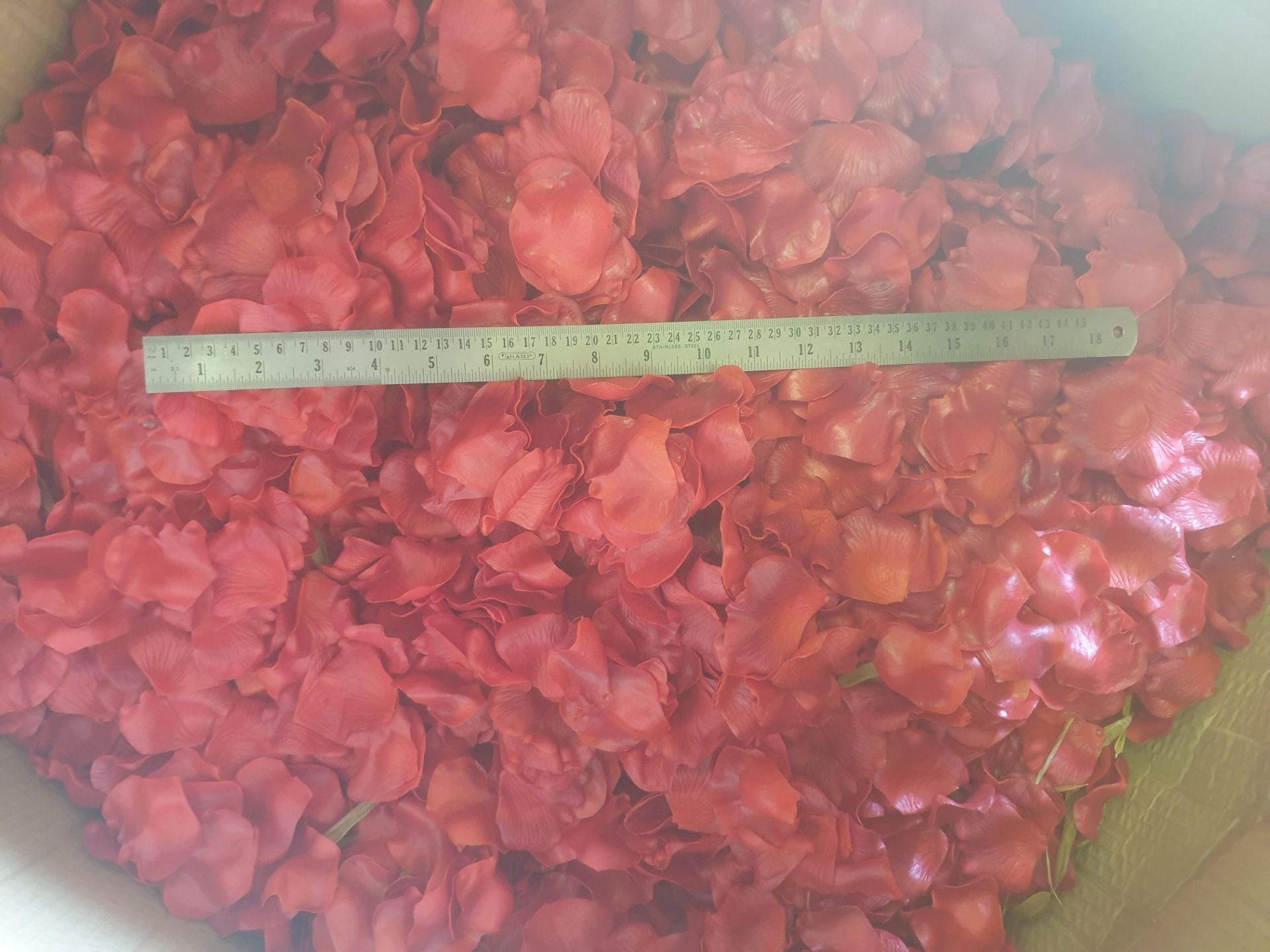 1 large box of loose Red rose petals