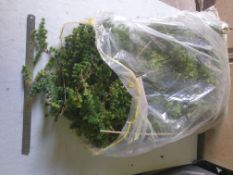 1 x 90 ltr bag of cut artificial Asparagus foliage