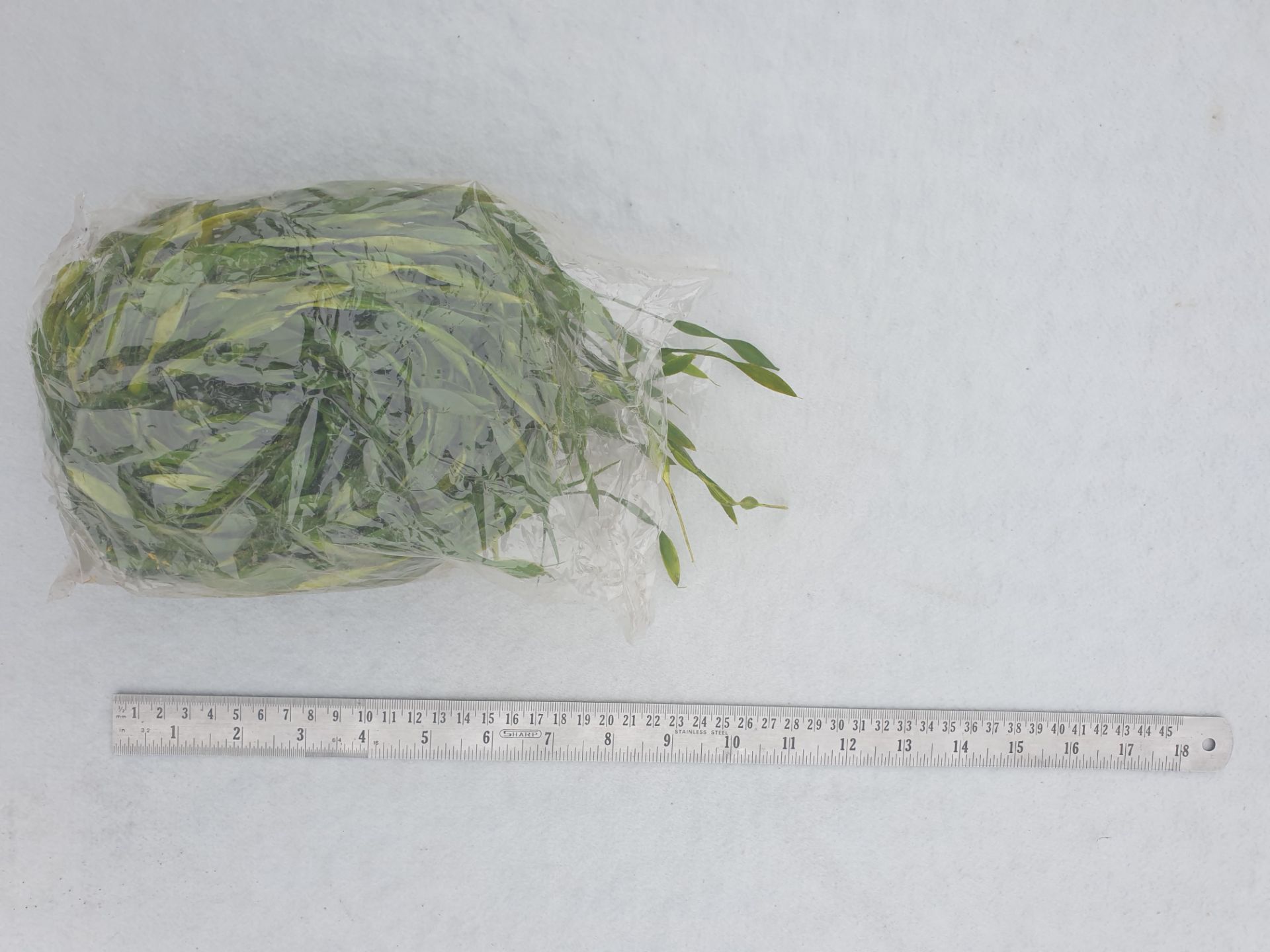 5 Artificial Seaweed garland - 1.5m - Bagged and unused - Bild 2 aus 2