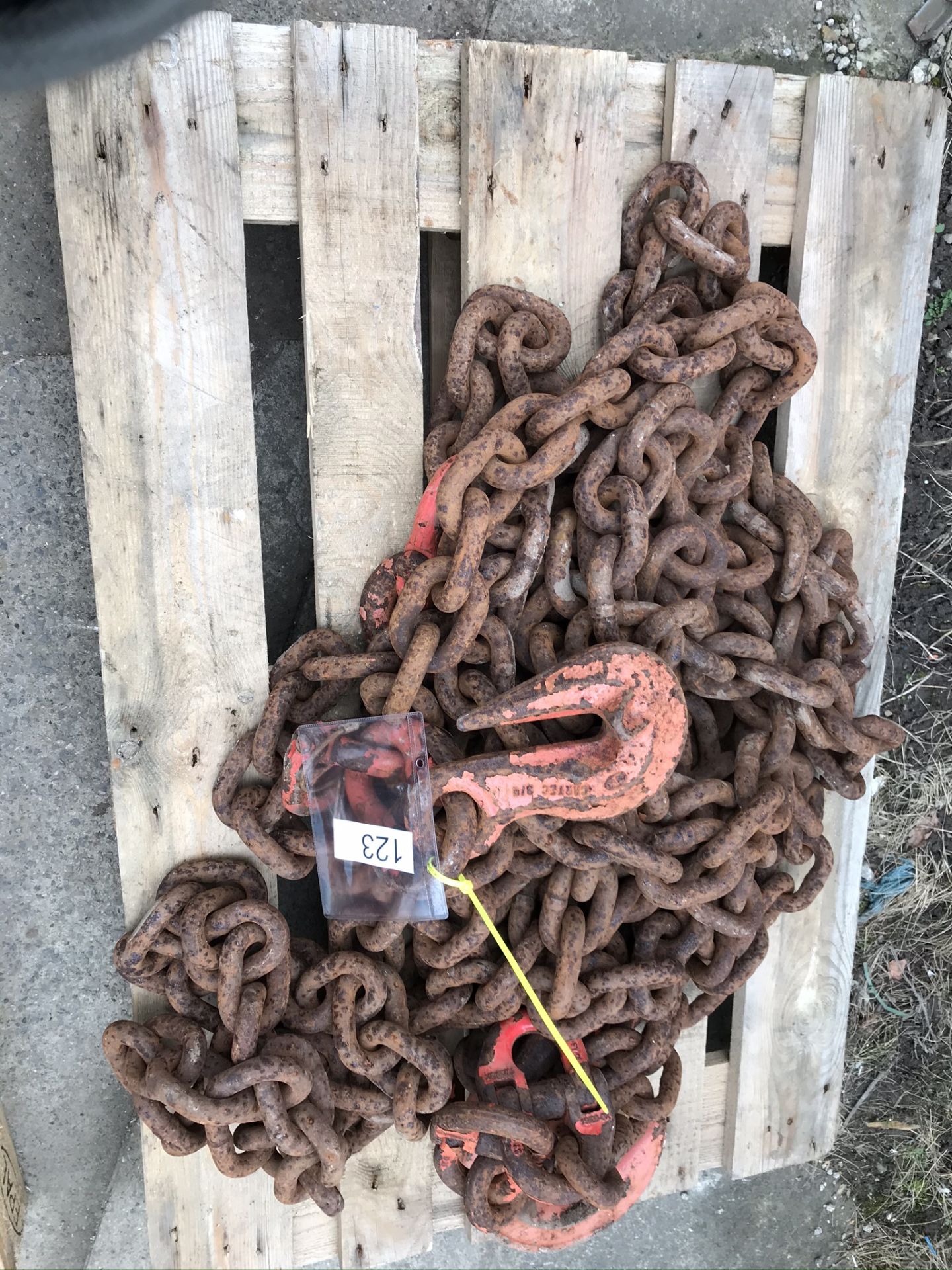 2no Lashing Chain 10T 6M C/W Found hooks