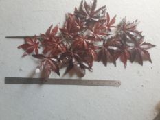 60 Pieces of Artificial Acer foliage spray - Burgandy - Not used