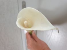 21 x Artificial White Arum flower stem - 85cm long