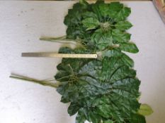 7 x Artificial Scheffleria stems cut to various lengths - Used